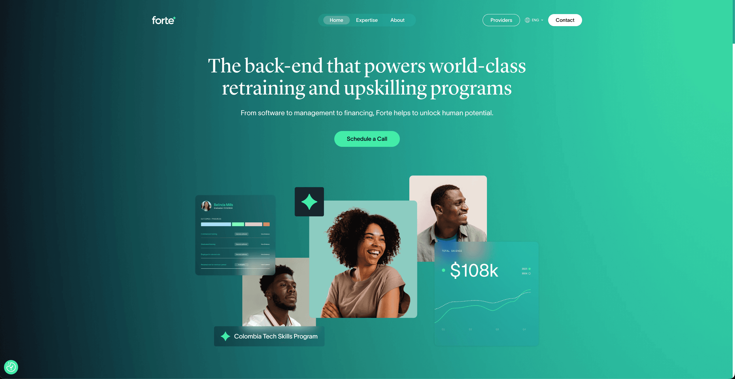 Forte Global Website screenshot